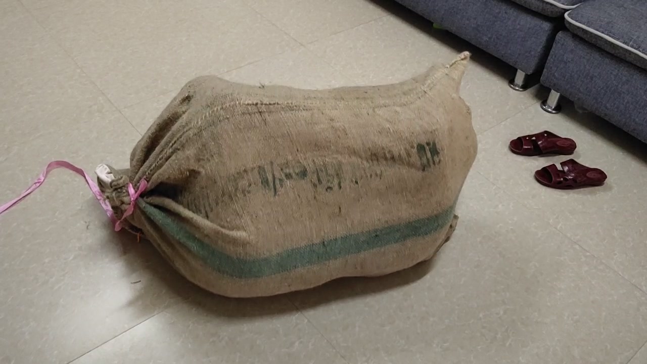 6642.mp4-5.jpg